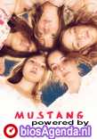 Mustang poster, © 2015 Cinéart