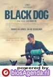 Black Dog poster, copyright in handen van productiestudio en/of distributeur